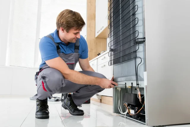 Defy fridge repair technician Cape Town